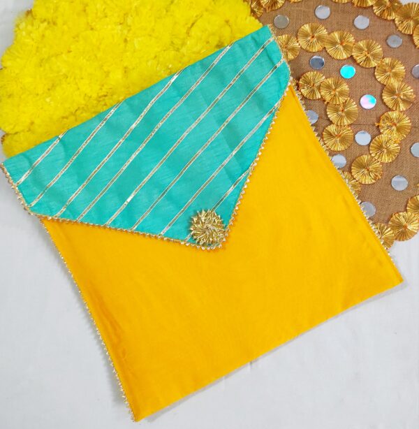 Saree Cover